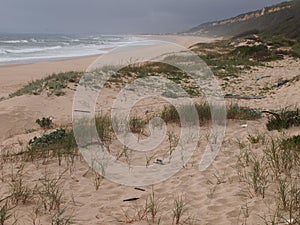 Costa da Caparica, a natural reserve and PortugalÃ¢â¬â¢s largest contiguous beach photo